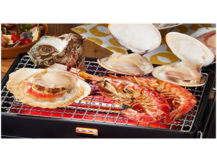 Iwatani CB-ABR-2 Aburiya II Japanese Tabletop BBQ Gas Grill for Indoor & Outdoor Use (Grill Only)