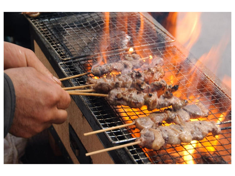 Japan Yakitori BBQ Diatomite Charcoal Grill Barbecue Hibachi Konro 70×35cm