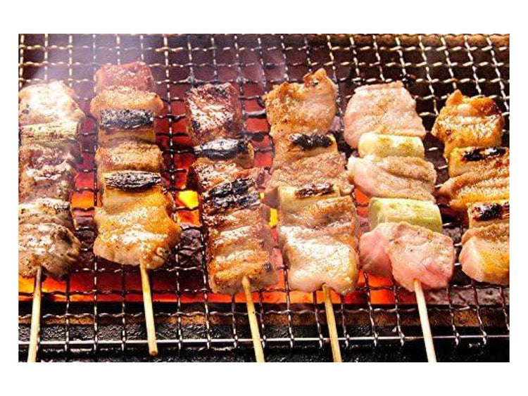 Japan Yakitori BBQ Diatomite Charcoal Grill Barbecue Hibachi Konro 70×35cm